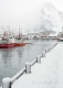 norwegen-lofoten-winter-schnee-landschaft-i_mg_7786