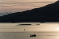 norwegen-fjord-trawler-fischkutter-silhouette-abendstimmung-e_o1i2551