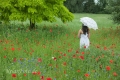 frau-relaxen-entspannung-ruhe-mohn-blumen-wiese-j_mg_1283