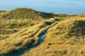 Ellenbogen-Duenen-Sand-Sylt-Winter-Bilder-Fotos-Strand-Landschaften-RX_01246